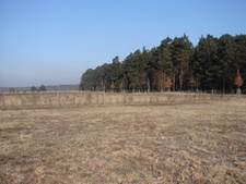 Erstaufforstung