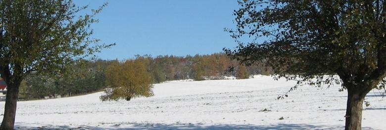 Wintereinbruch mit Äpfeln am Baum