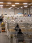 2- LaWi-Messe 2018KLeintierschau_