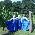 Weingut & Restaurant Hanna in Radomierzyce