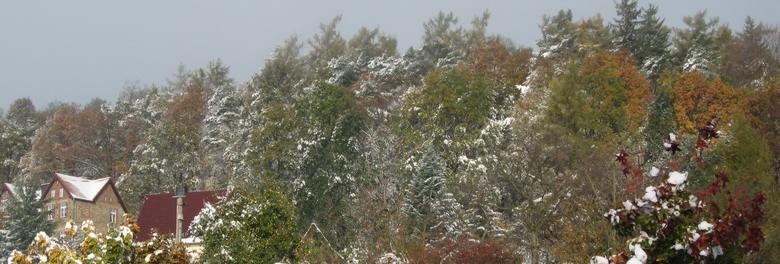Jau Buschbach 2012_10_28 Wintereinbruch