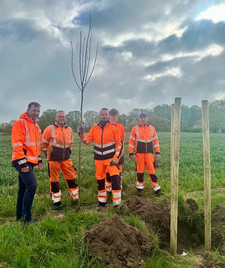 Baumpflanzarbeiten - Amtsleiter mit Mitarbeitern der Straßenmeisterei Niesky (c) Landratsamt Görlitz (2)