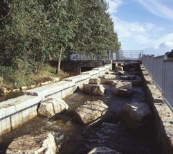 Fischtreppe(c)Fritz Brozio