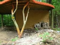 Beispiel für den Neubau eines Stachelschweingeheges im Tierpark Zittau