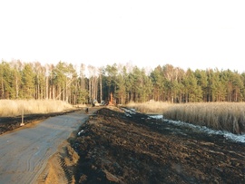 Froschteich 2003(c)Archiv