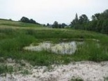 Angelegter Tümpel mit Hochstaudenflur bei Wittgendorf