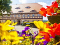 Niederkretscham Waltersdorf, Foto: Robin Wollmann