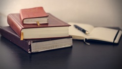 Bildung