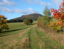 Hochwald
