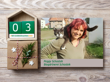 Adventsaktion_2018_FB_Schostek