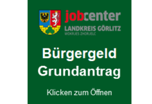 Banner_ALG2_square