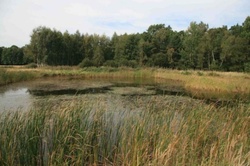 Kleingewaesser 2002(c)Archiv